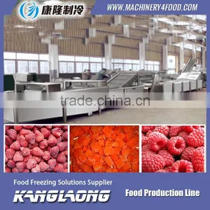 New Technology Large Capacity Fruit Processing Machine thumbnail-5