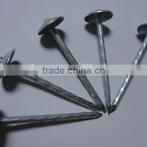 Best Price Umbrella Head Smooth Plain Shank Roofing Nail Made in China thumbnail-2