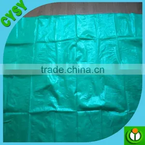 90gsm-140gsm Black/green PP Ground Cover,weed Barrier Fabrics, Weed Mat in Strawberry Garden thumbnail-2
