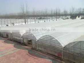 Factory Price Multi-span Plastic Greenhouse thumbnail-4