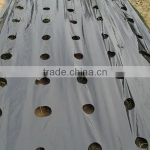 Black Mulch Agriculture With Perforated Hole thumbnail-1