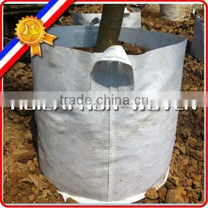 Customized Weight Non Woven Tree and Plant Grow Bag,planting Bags, Tree Planting Bag thumbnail-4