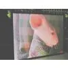 Taiwan Video Sign Board thumbnail-1