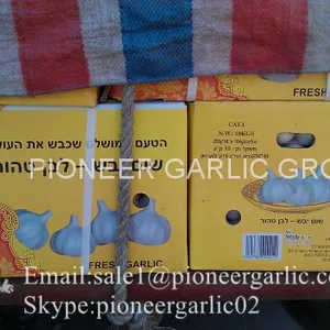 Small Packing 5.5-6cm Fresh Red Garlic Produced In Jinxiang Shandong China thumbnail-2