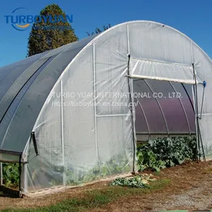 Agricultual Greenhouse Covering Hot House Plastic Film thumbnail-5