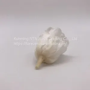 Wholesale3-4cm Elegant Real Touch Preserved Rose Flower thumbnail-4