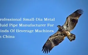 Tianjin DONGXING Industrial Development Co., Ltd. company overview - view 3 thumbnail