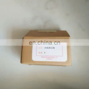 Genuine Diesel Common Rail Injector Filter CW095420-0260 For Sinotruck A7 Truck thumbnail-2