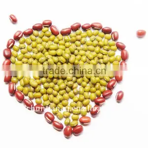 Organic Chinese Mung Beans thumbnail-1