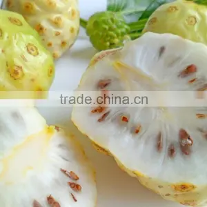 High Quality Organic Noni Powder At Your Door Step thumbnail-1