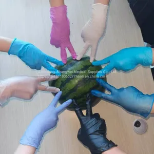Disposable Vinyl Gloves thumbnail-1