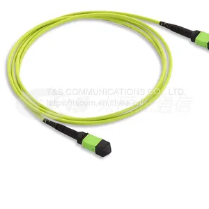 MTP/MPO TRUNK CABLE thumbnail-1