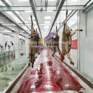 Good Supplier Sheep Slaughter Machinery Halal Goat Meat Slaughterhouse Equipment For Butchery Equipment thumbnail-5