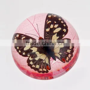 2016 New Design Paperweight With Real Butterfly thumbnail-5
