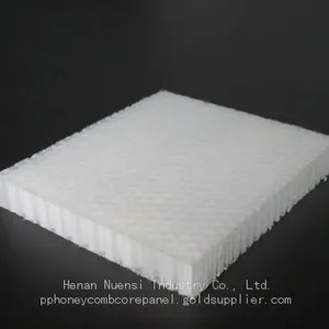 PP Honeycomb Core Sandwich Sheet thumbnail-1