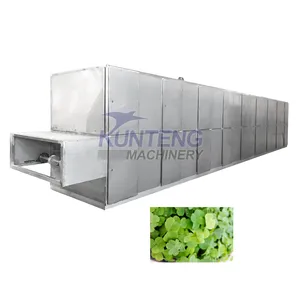 Sudan Grass Lavender Tall Fescue Mesh Belt Drying Machine Top Quality Herb Lucerne Dying Machine EPC thumbnail-1