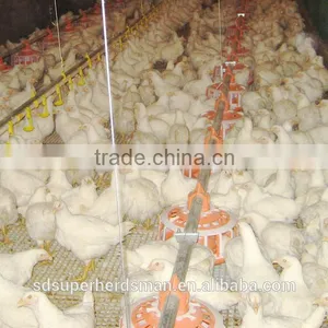 Broiler Farm House and Equipments thumbnail-1