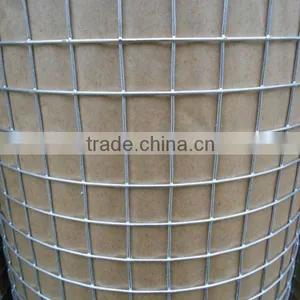 Electro Galvanized/PVC Coated/Hot Dipped Galvanized Welded Wire Mesh thumbnail-2
