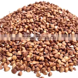ROASTED BUCKWHEAT thumbnail-2