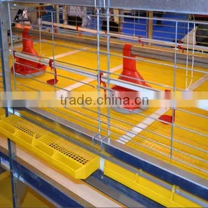 Huaxing New Design Automatic Broiler /dorking Chicken Cage thumbnail-3