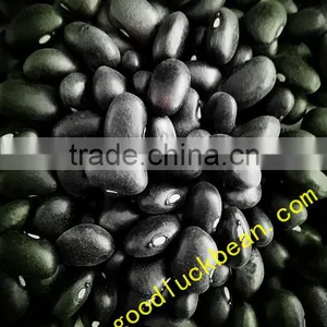 High Quality White/Black Pulse Beans thumbnail-3
