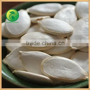 New Crop High Quality Snow White Pumpkin Seeds, Certified! thumbnail-2