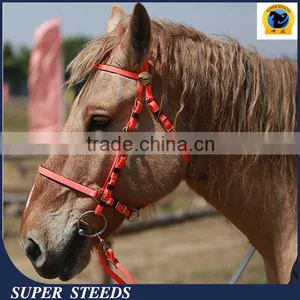 High Quality Endurance Bridle and Rein With Cold Resistant thumbnail-1