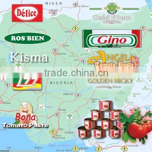 NAFDAC Tomato Paste Brix 28-30% Canned 70g - 4500g Fair Quality for Nigerian Cheaper Market thumbnail-1