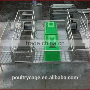 Wholesale Pig Farrowing Crates/Farrowing Crates For Pigs/Farrowing Crate For Sale thumbnail-2