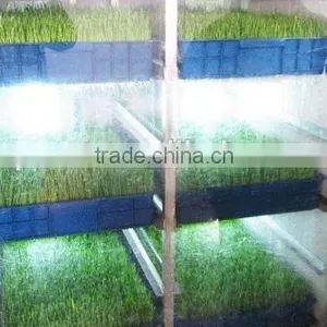 Farm Favorite Wheat/Barley/Bean Seedling System thumbnail-6