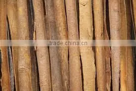 Good Price Split, Powder, Tube, Broken Cassia/ Cinnamon Vietnam thumbnail-6