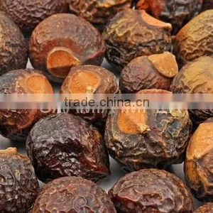 Wash Nut /Soap Nut Insect and Mosquito Repellant thumbnail-1