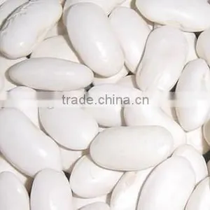 Chinese Large White Kidney Beans for Sale thumbnail-3