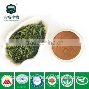Organic Green Tea Extract for Food Supplements 98% /90%/ 80% Polyphenols thumbnail-1
