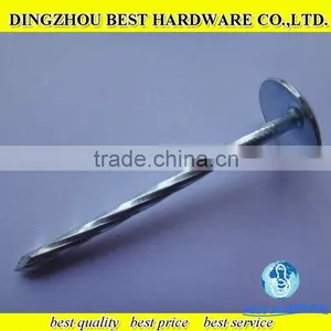 11 Bwg Galvanized Corrugated Roofing Nail thumbnail-1