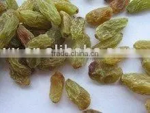 Turkish Raisins, Sultana, Dried Grape, Raisin thumbnail-1