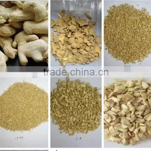GINGER POWDER thumbnail-1