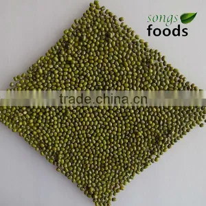 Dry Bulk Myanmar Green Mung Bean thumbnail-1