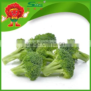 Green Broccoli From China Frozen Broccoli for Sale thumbnail-2