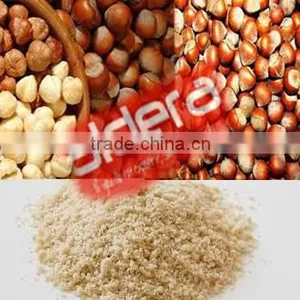Turkish Hazelnut Nut Roasted Nut Shelled Nut Hazelnut Kernels Minced Hazelnut Fresh Hazelnut Dried Hazelnut thumbnail-1