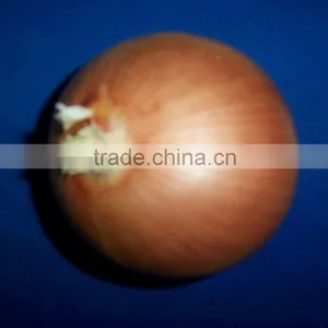 Chinese Yellow Onion Price for Wholesale thumbnail-1