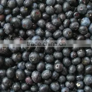 Frozen Blueberry thumbnail-1