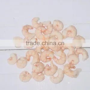 Red Shrimp thumbnail-1