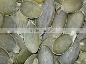 GWS Pumpkin Seeds Grown Without Shell for Export thumbnail-2