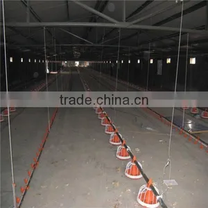 Special Chicken Broiler Feeders and Drinkers Poultry Equipment thumbnail-1