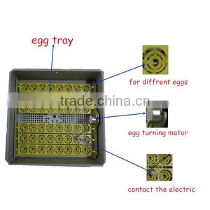 DL 48 Digital Full Automatic Mini Egg Incubator With CE Certificate China Made 38USD thumbnail-5