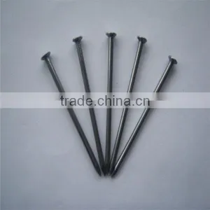 1/2"-13" High Quality Common Nails/ Stainless Steel Nail thumbnail-6