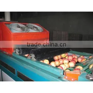 Fruit Washing Grading Machine/tomato Grade Line thumbnail-4
