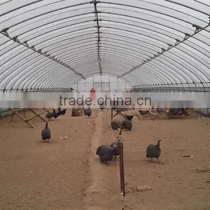 Low Cost Tunnel Greenhouse for Poultry Farming Equipment thumbnail-1