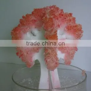 DIY Crystal Growing Science Kit-Grow Your Own Magic Crystal Tree for Kids Playing thumbnail-5